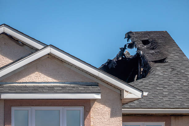 Licensed Content Restoration service in Trenton, NJ - Fire Damage Biloxi